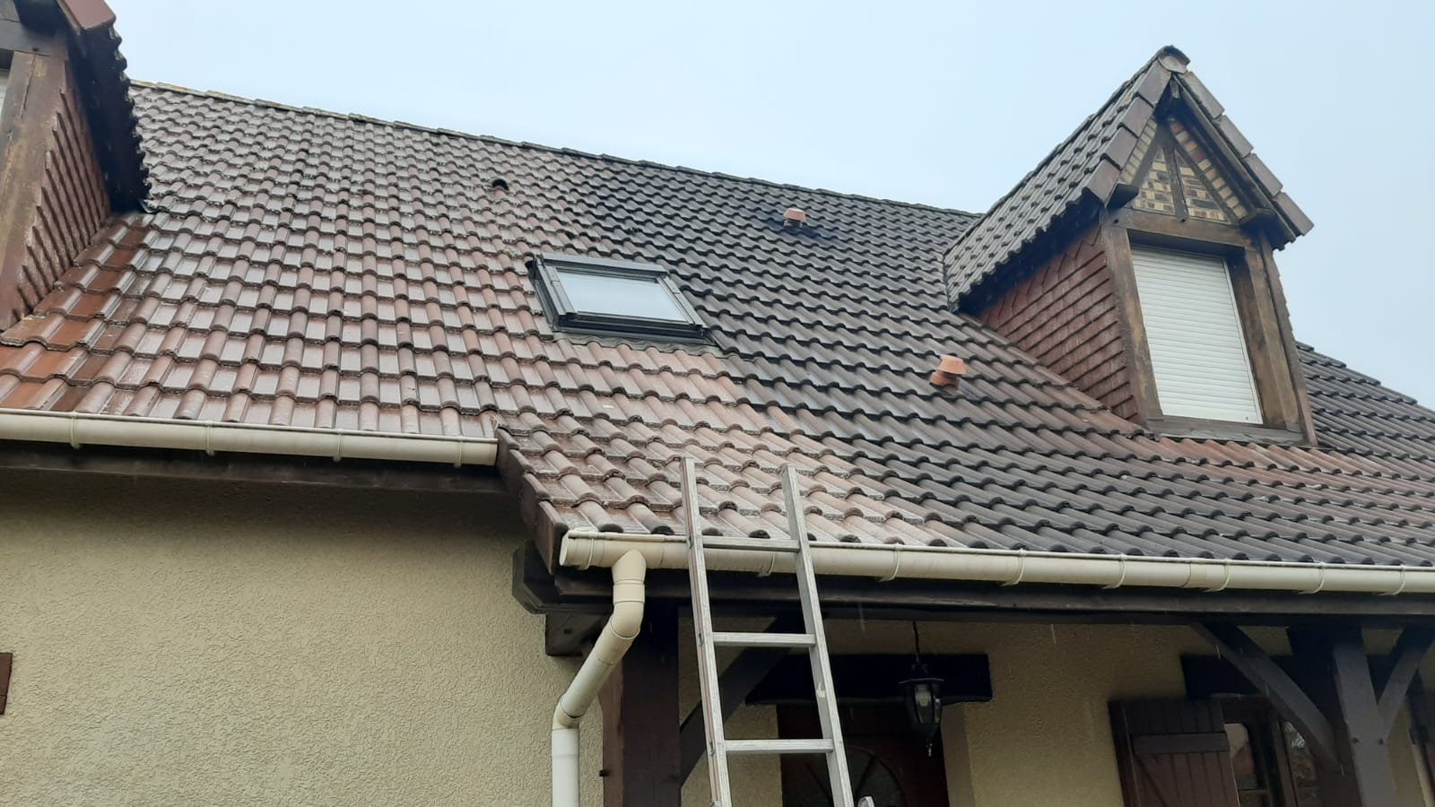 Nettoyage et démoussage de toiture